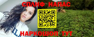 стафф Краснодар