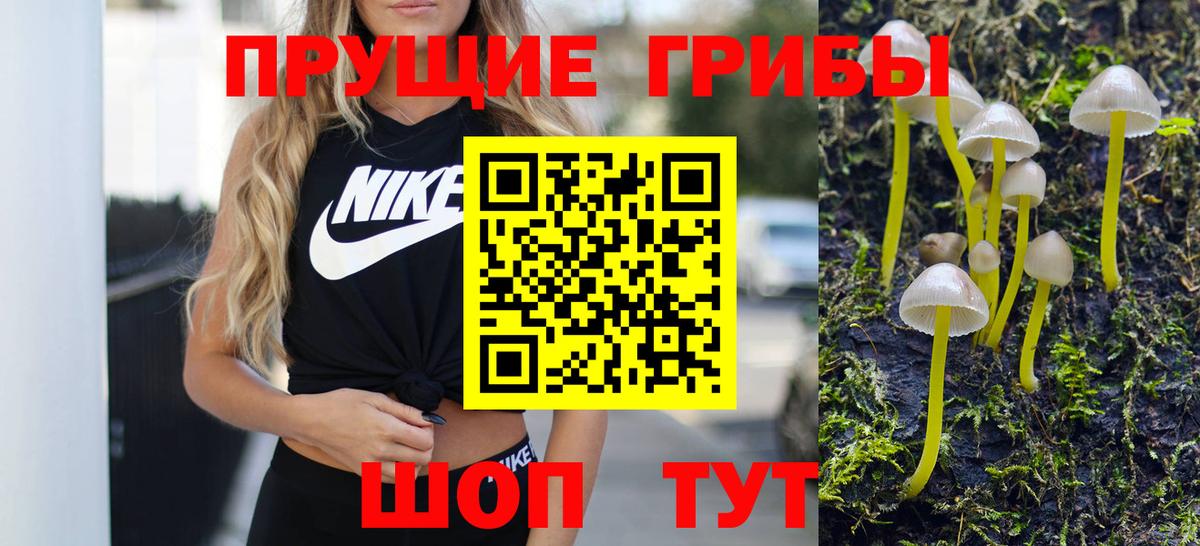 Псилоцибиновые грибы MAGIC MUSHROOMS  Вход с VPN  Псилоцибиновые грибы мухоморы  Кандалакша 