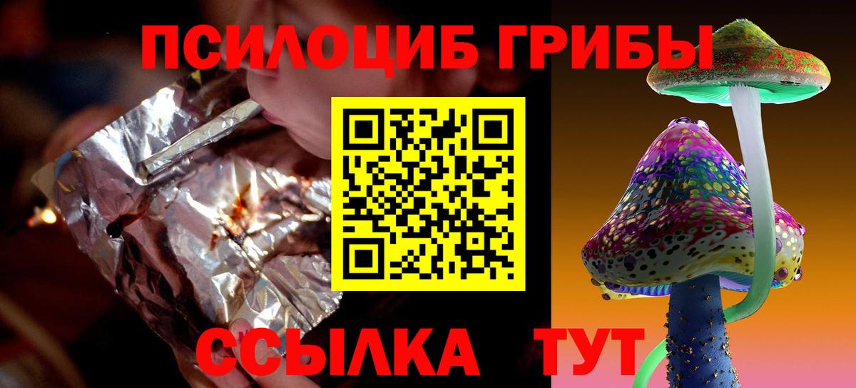 Галлюциногенные грибы Psilocybe Кандалакша